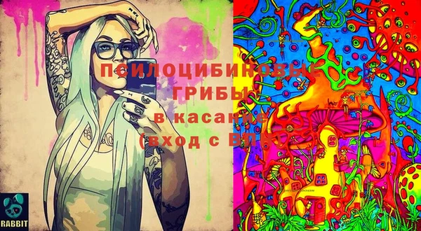 соль курить ск Россошь