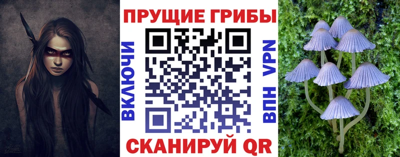 Псилоцибиновые грибы мицелий  Грязи 