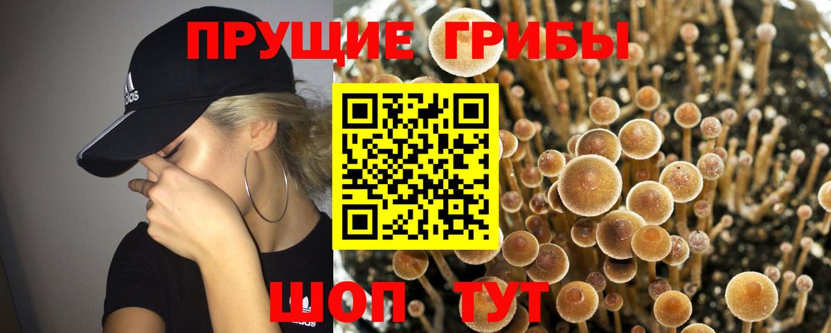 Галлюциногенные грибы Psilocybe  Вход с VPN  Псилоцибиновые грибы GOLDEN TEACHER  Грязи 